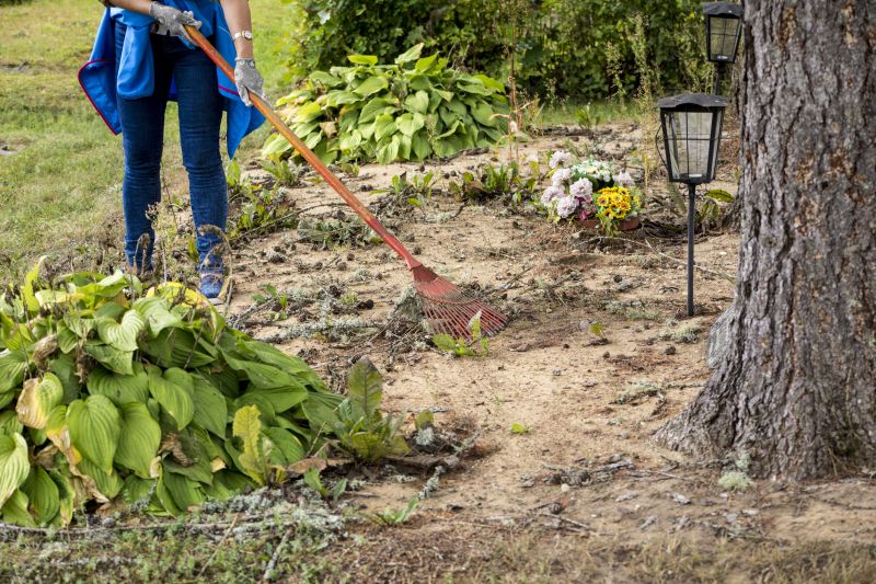 Contact About Forestry Clearing