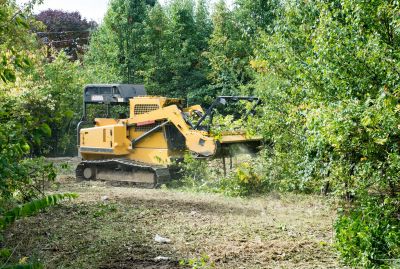 Forestry Clearing Equipment in Winter