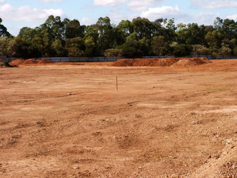 Dry Soil Conditions for Clearing